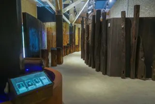 Int&eacute;rieur d'un b&acirc;timent de bois clair. Une all&eacute;e traverse une for&ecirc;t de hauts poteaux de bois noirci, fendus et irr&eacute;guliers, dress&eacute;s serr&eacute;s comme une palissade et &eacute;clair&eacute;s en rasant. Au premier plan &agrave; gauche, un pupitre bas en m&eacute;tal rouill&eacute; porte un petit &eacute;cran inclin&eacute; qui affiche une rang&eacute;e de portraits anciens ; &agrave; c&ocirc;t&eacute;, un combin&eacute; d'&eacute;coute gris en forme de galet.